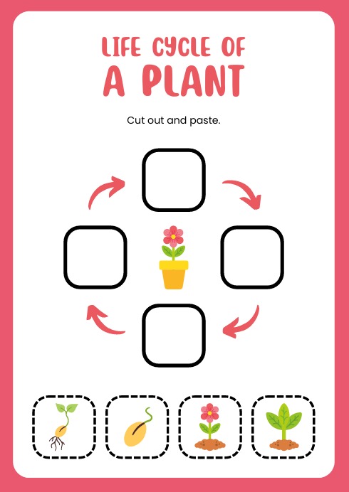 WhatsApp Image 2025-12-16 at 14.54.41